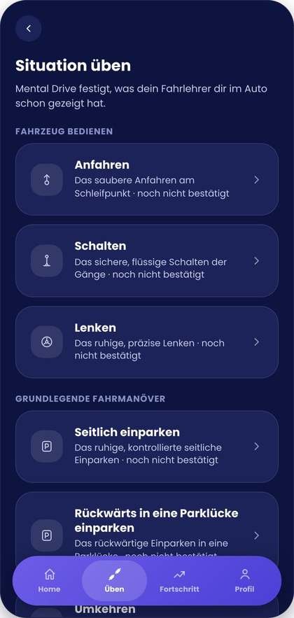 Liste der Fahrsituationen, nach Kategorien sortiert